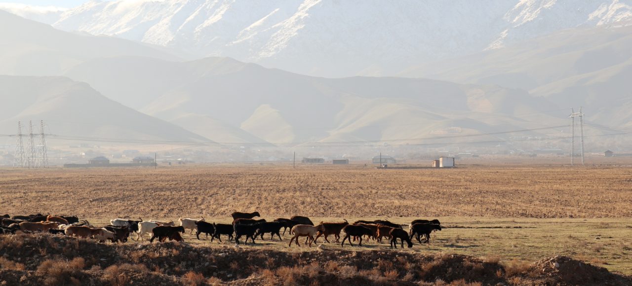 Zhexin Zentralasien Landschaft